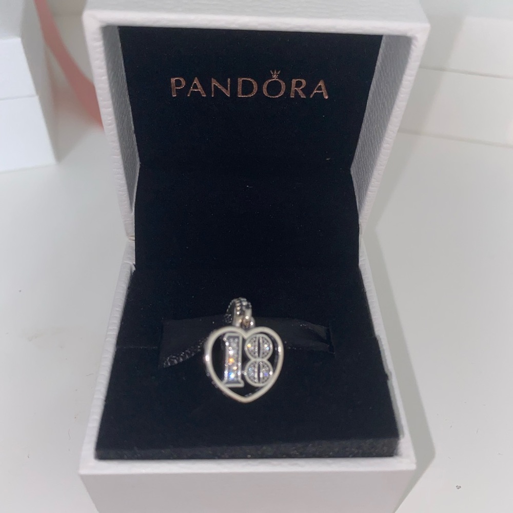Pandora Bracelet Charm